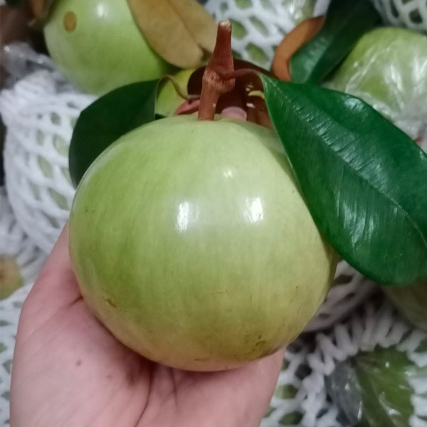 (HỘ KINH DOANH) VÕ VĂN THA