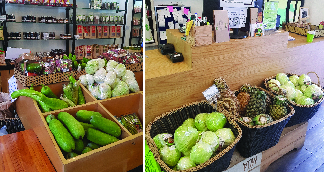 (HỘ KINH DOANH) VÕ VĂN THA