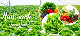 (HỘ KINH DOANH) VÕ VĂN THA